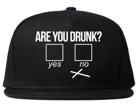 Are You Drunk Funny Beer Drinking Party Mens Snapback Hat
