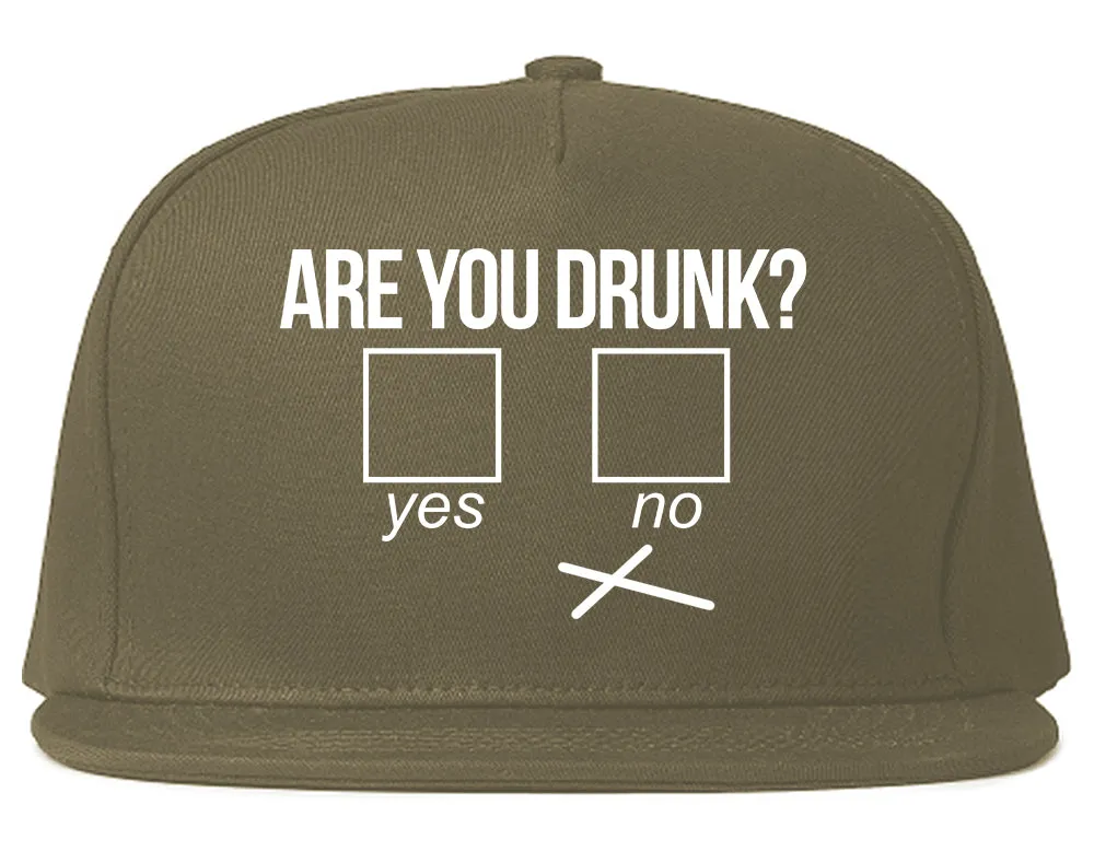 Are You Drunk Funny Beer Drinking Party Mens Snapback Hat