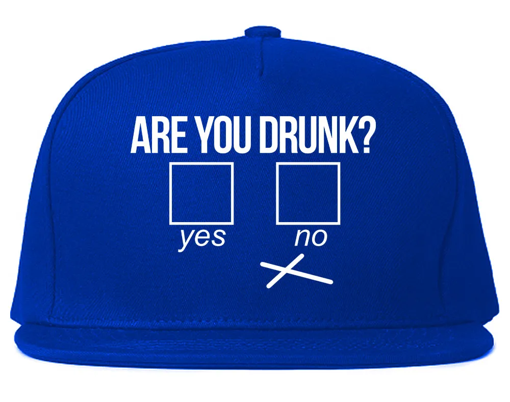 Are You Drunk Funny Beer Drinking Party Mens Snapback Hat