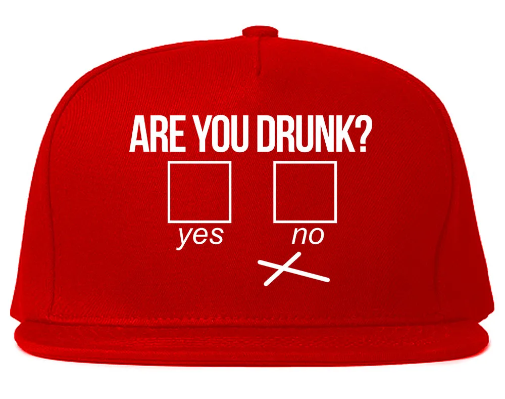 Are You Drunk Funny Beer Drinking Party Mens Snapback Hat